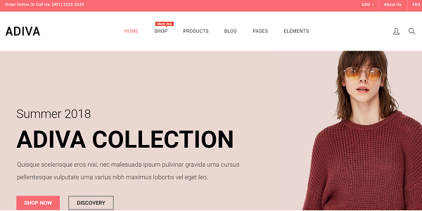 Adiva - eCommerce WordPress Theme