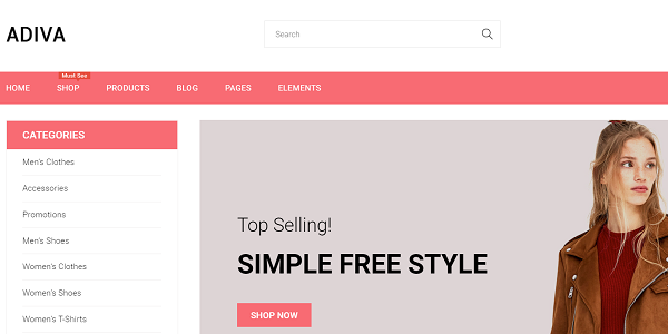 Adiva - eCommerce WordPress Theme